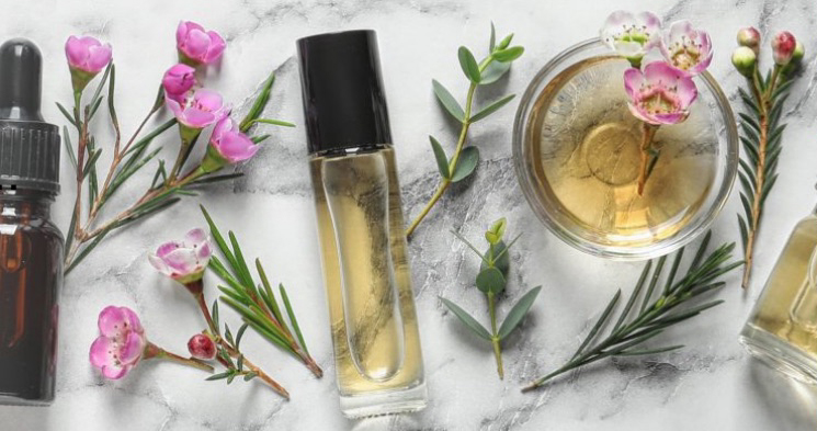 fragrance