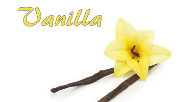 Vanilla fragrance image