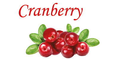 Cranberry fragrance image