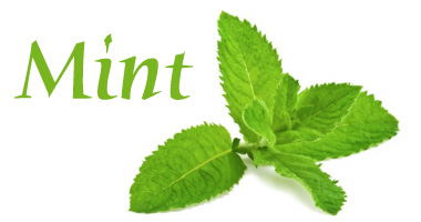 Mint fragrance image