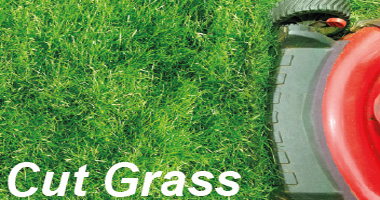 Grass fragrance image