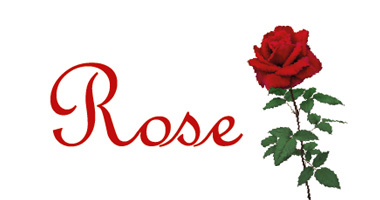 Rose fragrance image