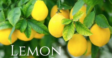 Lemon fragrance image